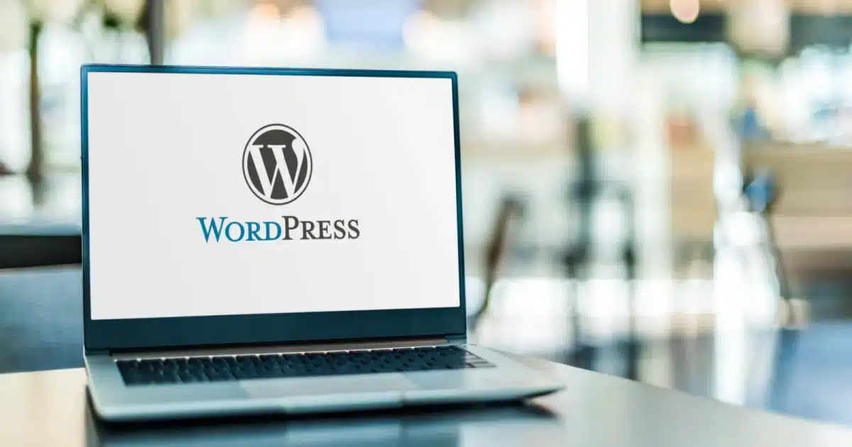 Quelle solution adopter en cas de bug sur votre site WordPress 