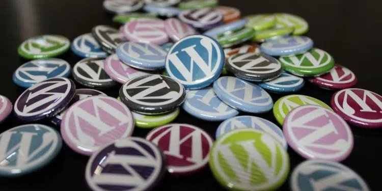 Quel est l’intérêt de suivre des formations Wordpress et woocommerce ?